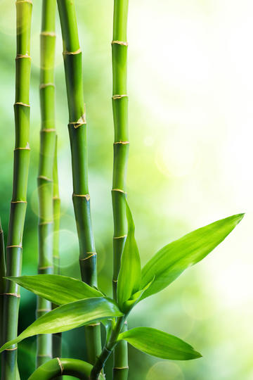 如何评价古装电视剧《淮水竹亭》的大结局？
